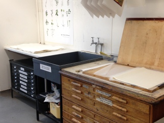 Getting to grips with our printing equipment.. Firstly, from left to right, the blotting area - where paper is blotted dry between sheets of paper once it's been soaked... in the middle, the sink for soaking the paper before printing and finally on the right, the tissue paper book for protecting finished prints whilst they dry.